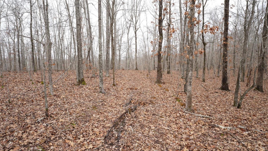 1 Wayne Route P, Lowndes, Missouri 63951, ,Farm,For Sale,Wayne Route P,MAR25002881