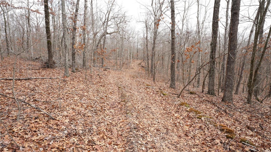 1 Wayne Route P, Lowndes, Missouri 63951, ,Farm,For Sale,Wayne Route P,MAR25002881