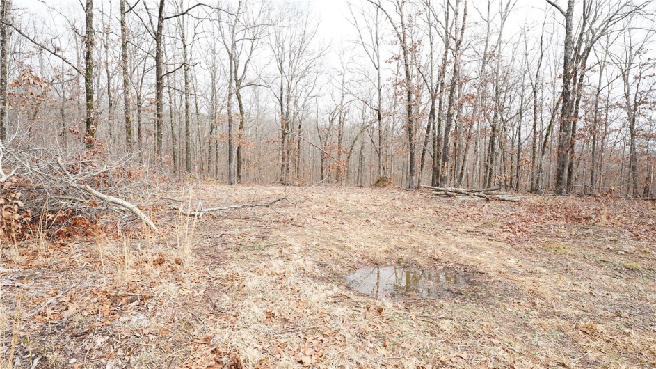 1 Wayne Route P, Lowndes, Missouri 63951, ,Farm,For Sale,Wayne Route P,MAR25002881
