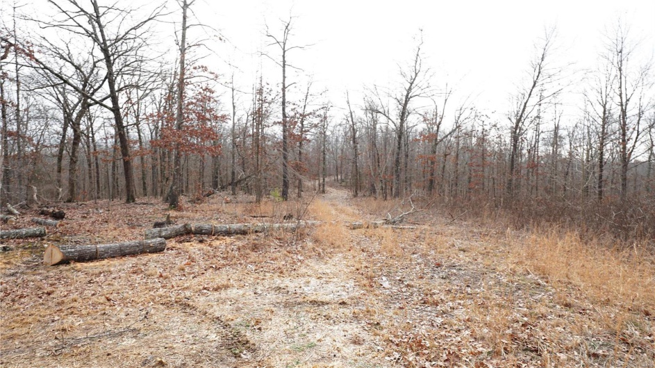 1 Wayne Route P, Lowndes, Missouri 63951, ,Farm,For Sale,Wayne Route P,MAR25002881
