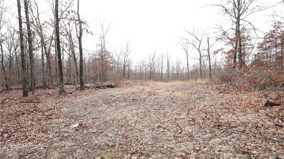 1 Wayne Route P, Lowndes, Missouri 63951, ,Farm,For Sale,Wayne Route P,MAR25002881