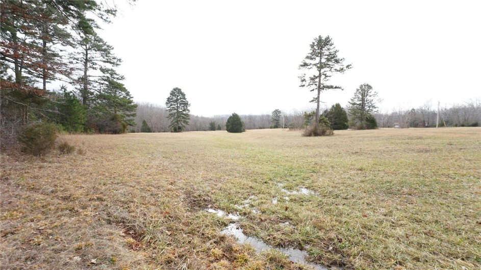 1 Wayne Route P, Lowndes, Missouri 63951, ,Farm,For Sale,Wayne Route P,MAR25002881