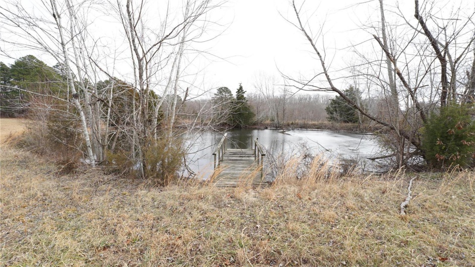 1 Wayne Route P, Lowndes, Missouri 63951, ,Farm,For Sale,Wayne Route P,MAR25002881