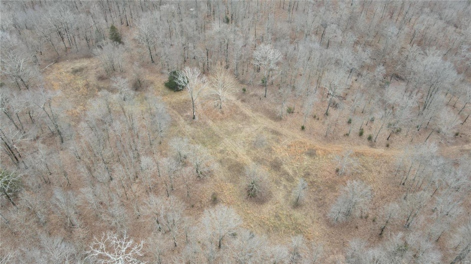 1 Wayne Route P, Lowndes, Missouri 63951, ,Farm,For Sale,Wayne Route P,MAR25002881