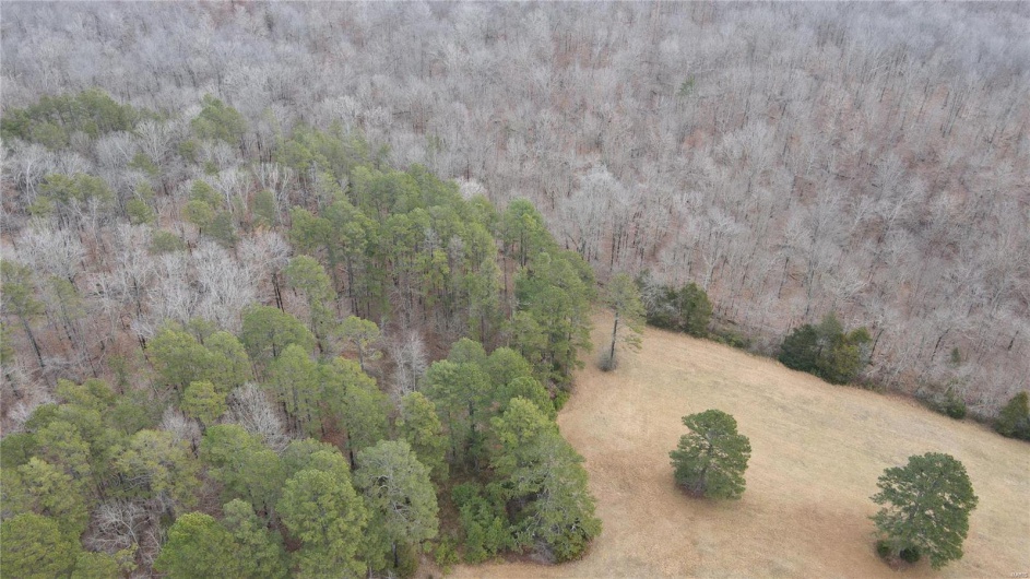 1 Wayne Route P, Lowndes, Missouri 63951, ,Farm,For Sale,Wayne Route P,MAR25002881