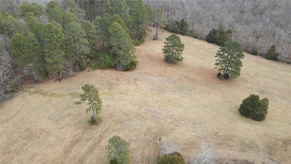 1 Wayne Route P, Lowndes, Missouri 63951, ,Farm,For Sale,Wayne Route P,MAR25002881