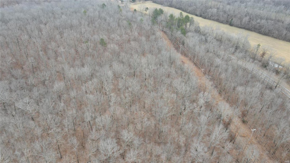 1 Wayne Route P, Lowndes, Missouri 63951, ,Farm,For Sale,Wayne Route P,MAR25002881