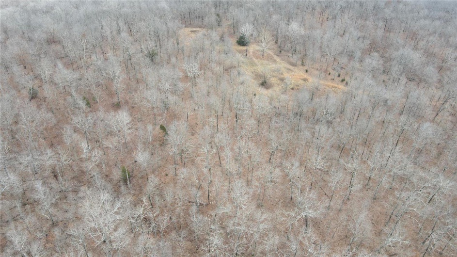 1 Wayne Route P, Lowndes, Missouri 63951, ,Farm,For Sale,Wayne Route P,MAR25002881