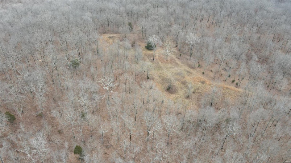1 Wayne Route P, Lowndes, Missouri 63951, ,Farm,For Sale,Wayne Route P,MAR25002881