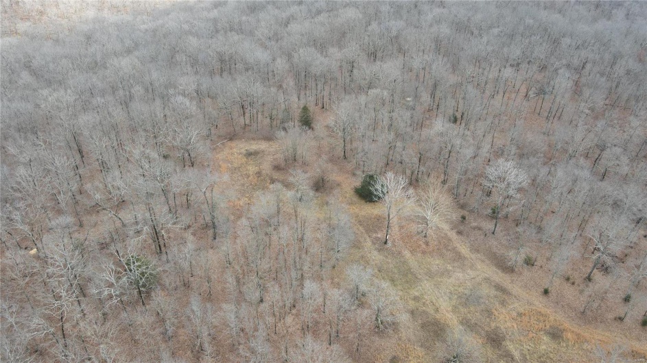 1 Wayne Route P, Lowndes, Missouri 63951, ,Farm,For Sale,Wayne Route P,MAR25002881