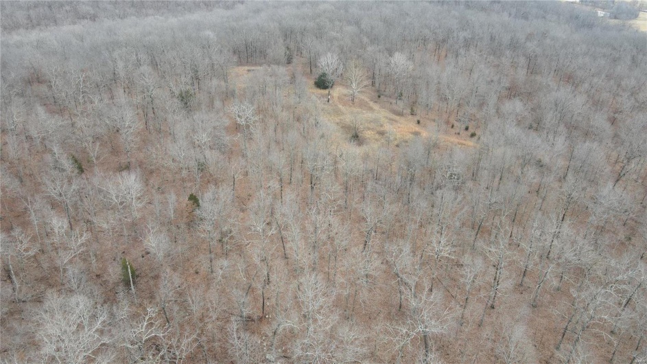 1 Wayne Route P, Lowndes, Missouri 63951, ,Farm,For Sale,Wayne Route P,MAR25002881