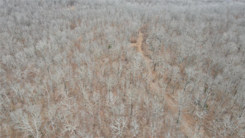 1 Wayne Route P, Lowndes, Missouri 63951, ,Farm,For Sale,Wayne Route P,MAR25002881