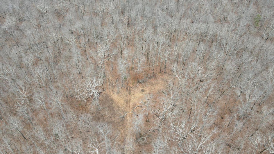 1 Wayne Route P, Lowndes, Missouri 63951, ,Farm,For Sale,Wayne Route P,MAR25002881