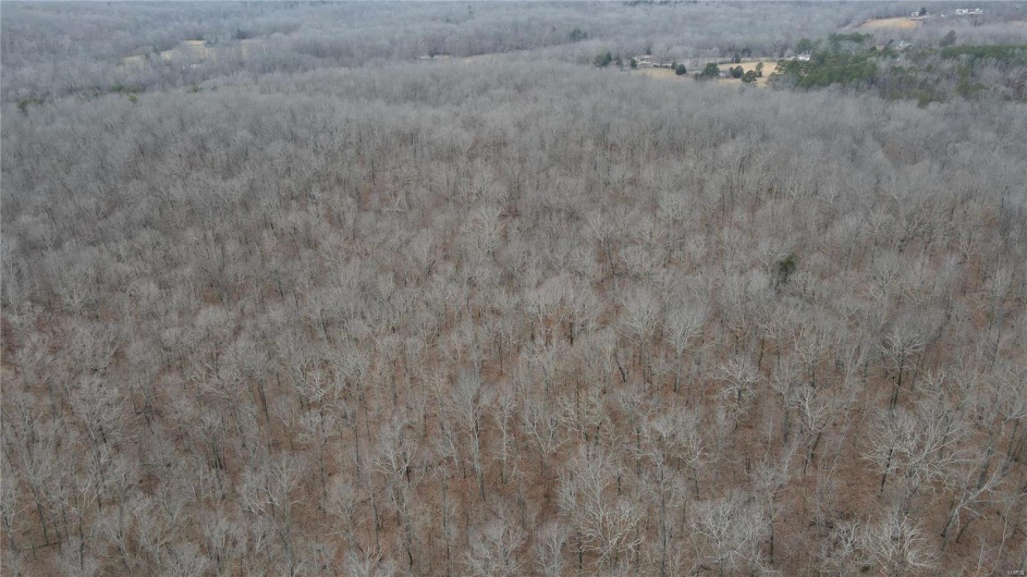 1 Wayne Route P, Lowndes, Missouri 63951, ,Farm,For Sale,Wayne Route P,MAR25002881