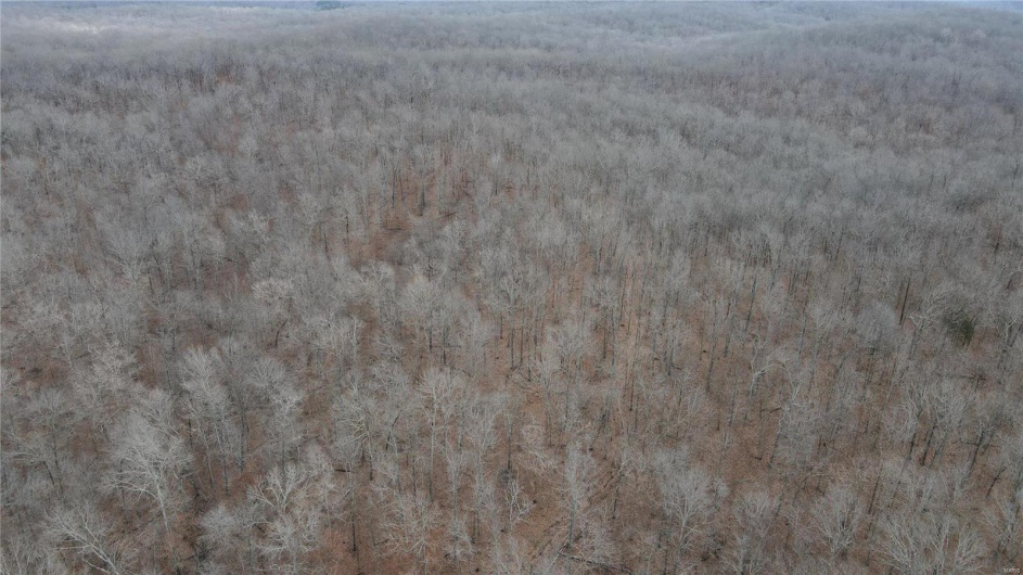 1 Wayne Route P, Lowndes, Missouri 63951, ,Farm,For Sale,Wayne Route P,MAR25002881