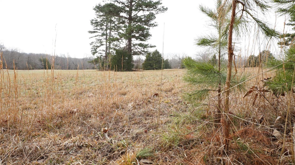 1 Wayne Route P, Lowndes, Missouri 63951, ,Farm,For Sale,Wayne Route P,MAR25002881