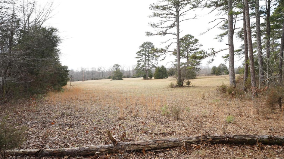 1 Wayne Route P, Lowndes, Missouri 63951, ,Farm,For Sale,Wayne Route P,MAR25002881