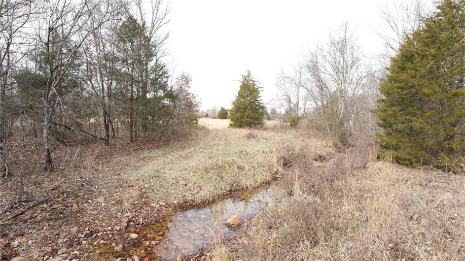 1 Wayne Route P, Lowndes, Missouri 63951, ,Farm,For Sale,Wayne Route P,MAR25002881