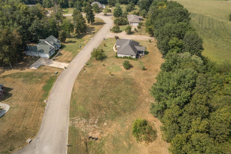 1176 Spring Brook Park Drive, Farmington, Missouri 63640, ,Land,For Sale,Spring Brook Park,MAR25002960