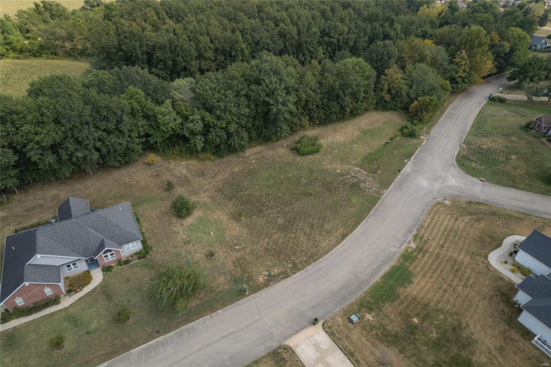 1176 Spring Brook Park Drive, Farmington, Missouri 63640, ,Land,For Sale,Spring Brook Park,MAR25002960