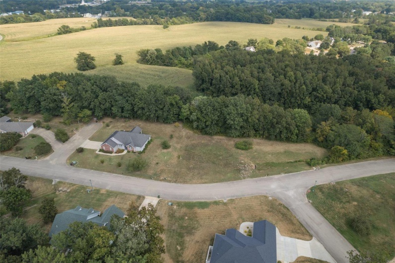 1176 Spring Brook Park Drive, Farmington, Missouri 63640, ,Land,For Sale,Spring Brook Park,MAR25002960