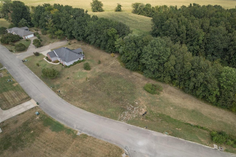 1176 Spring Brook Park Drive, Farmington, Missouri 63640, ,Land,For Sale,Spring Brook Park,MAR25002960