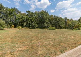 1176 Spring Brook Park Drive, Farmington, Missouri 63640, ,Land,For Sale,Spring Brook Park,MAR25002960