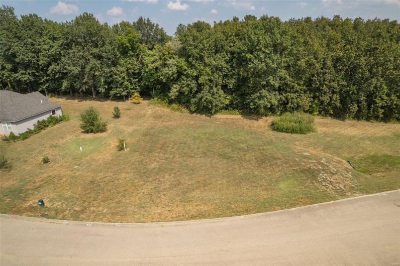1176 Spring Brook Park Drive, Farmington, Missouri 63640, ,Land,For Sale,Spring Brook Park,MAR25002960