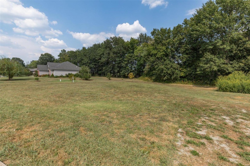 1176 Spring Brook Park Drive, Farmington, Missouri 63640, ,Land,For Sale,Spring Brook Park,MAR25002960