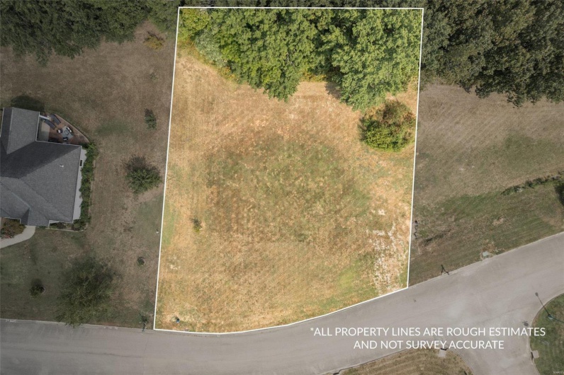 1176 Spring Brook Park Drive, Farmington, Missouri 63640, ,Land,For Sale,Spring Brook Park,MAR25002960