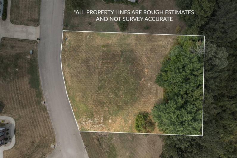 1176 Spring Brook Park Drive, Farmington, Missouri 63640, ,Land,For Sale,Spring Brook Park,MAR25002960