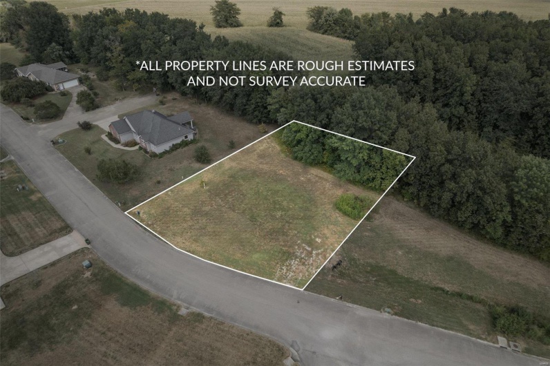 1176 Spring Brook Park Drive, Farmington, Missouri 63640, ,Land,For Sale,Spring Brook Park,MAR25002960