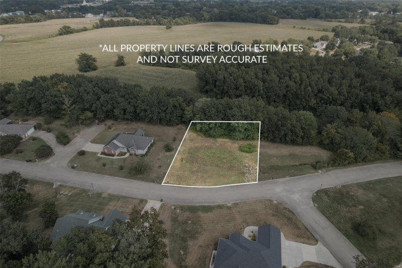 1176 Spring Brook Park Drive, Farmington, Missouri 63640, ,Land,For Sale,Spring Brook Park,MAR25002960