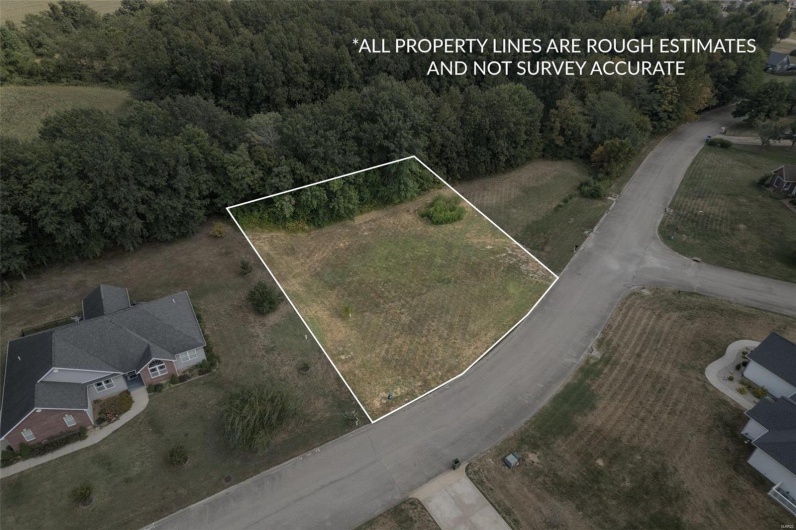 1176 Spring Brook Park Drive, Farmington, Missouri 63640, ,Land,For Sale,Spring Brook Park,MAR25002960