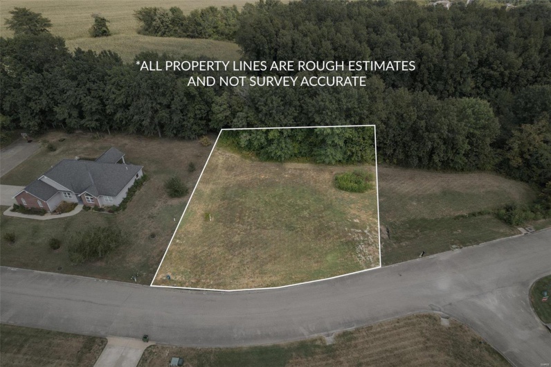 1176 Spring Brook Park Drive, Farmington, Missouri 63640, ,Land,For Sale,Spring Brook Park,MAR25002960