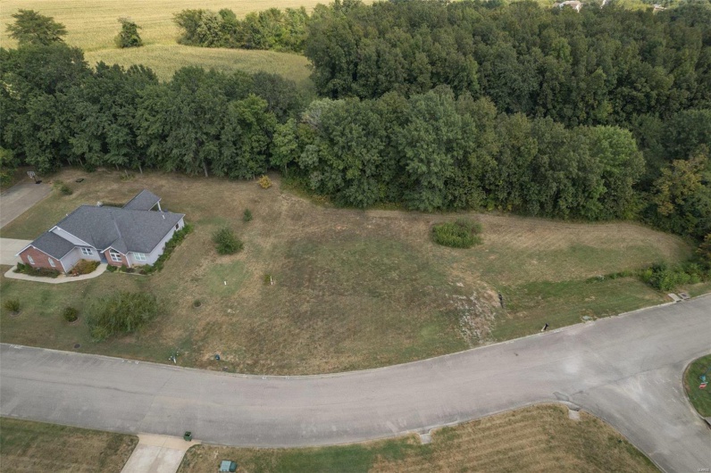 1176 Spring Brook Park Drive, Farmington, Missouri 63640, ,Land,For Sale,Spring Brook Park,MAR25002960