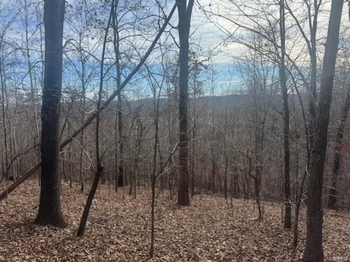 0 HWY 34, Piedmont, Missouri 63957, ,Land,For Sale,HWY 34,MAR25003567