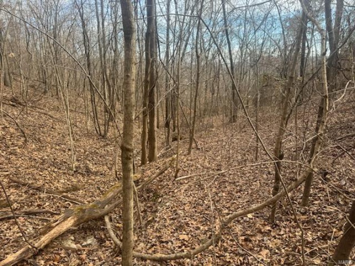 0 HWY 34, Piedmont, Missouri 63957, ,Land,For Sale,HWY 34,MAR25003567