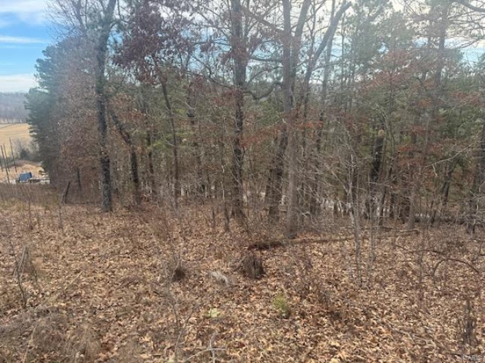 0 HWY 34, Piedmont, Missouri 63957, ,Land,For Sale,HWY 34,MAR25003567