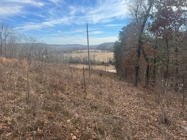 0 HWY 34, Piedmont, Missouri 63957, ,Land,For Sale,HWY 34,MAR25003567