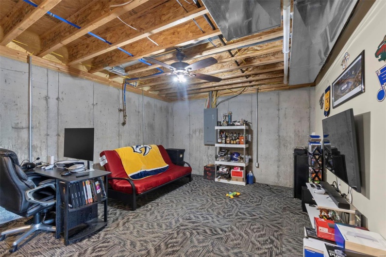 Basement with electric panel