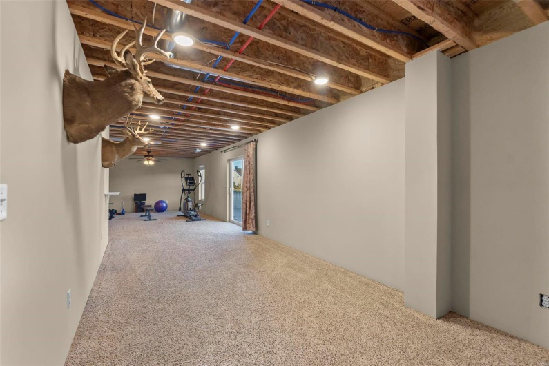 Basement featuring carpet floors