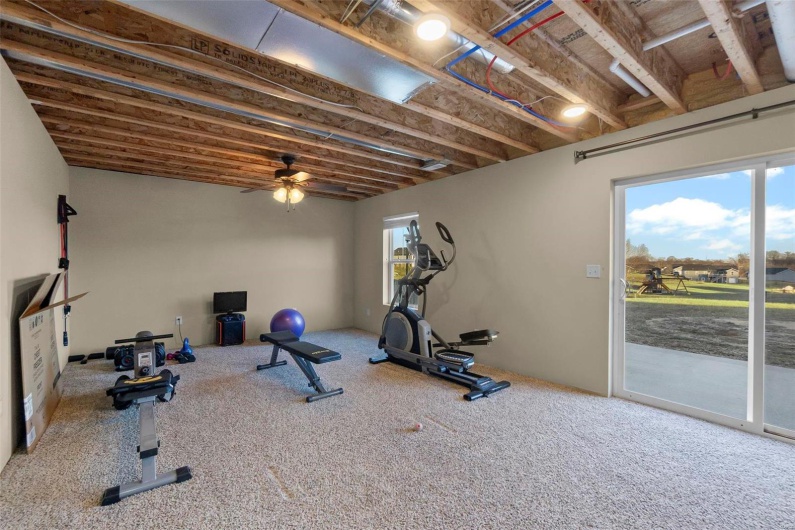 Workout room with plenty of natural light, carpet floors, and ceiling fan