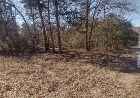 0 Calista Drive, Bonne Terre, Missouri 63628, ,Land,For Sale,Calista,MAR25004038