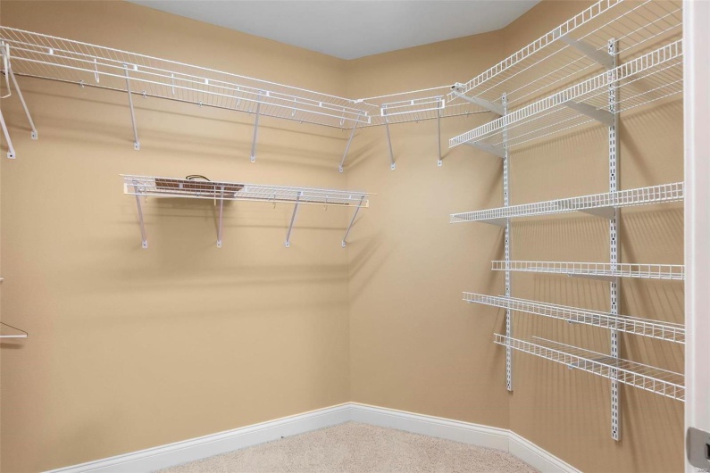 Walk in closet featuring carpet floors