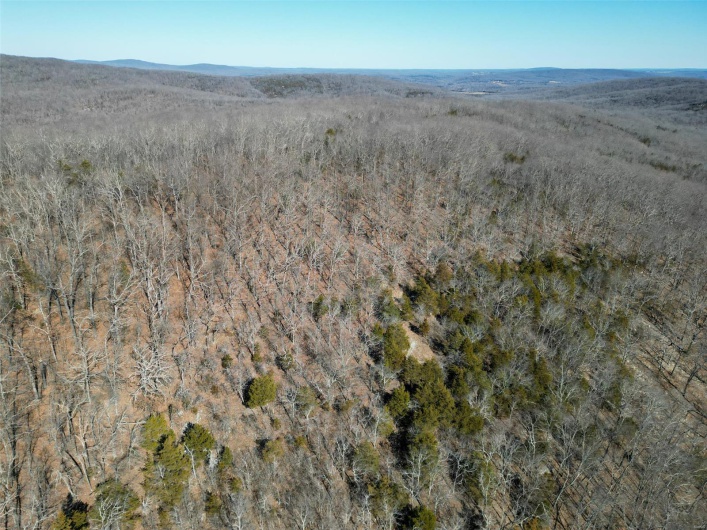 1 Off Hwy D, Ironton, Missouri 63650, ,Farm,For Sale,Off Hwy D,MAR25003825