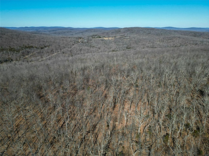 1 Off Hwy D, Ironton, Missouri 63650, ,Farm,For Sale,Off Hwy D,MAR25003825