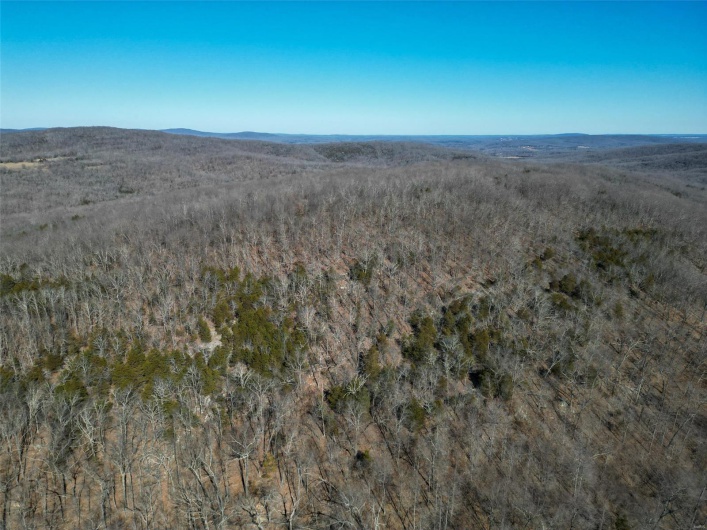 1 Off Hwy D, Ironton, Missouri 63650, ,Farm,For Sale,Off Hwy D,MAR25003825