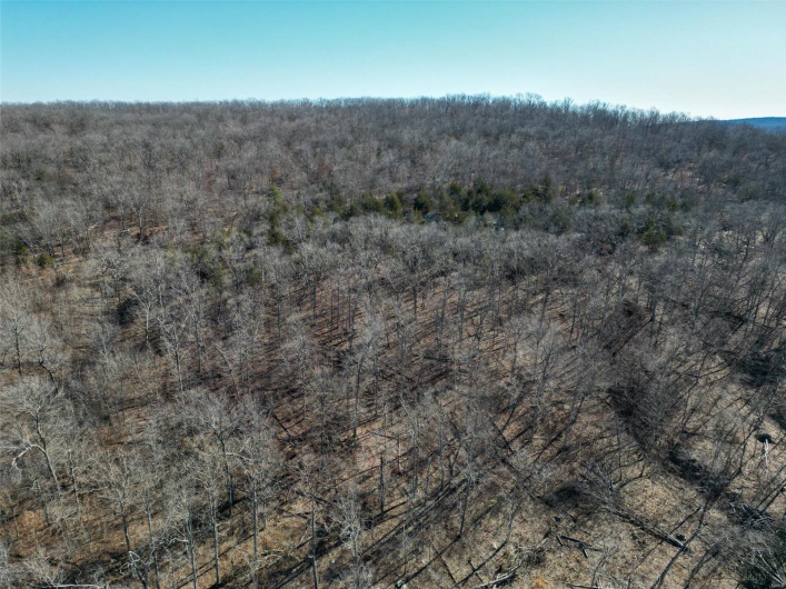 1 Off Hwy D, Ironton, Missouri 63650, ,Farm,For Sale,Off Hwy D,MAR25003825