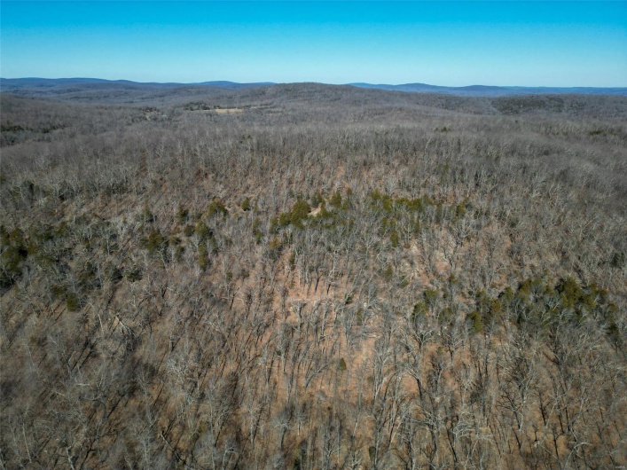 1 Off Hwy D, Ironton, Missouri 63650, ,Farm,For Sale,Off Hwy D,MAR25003825